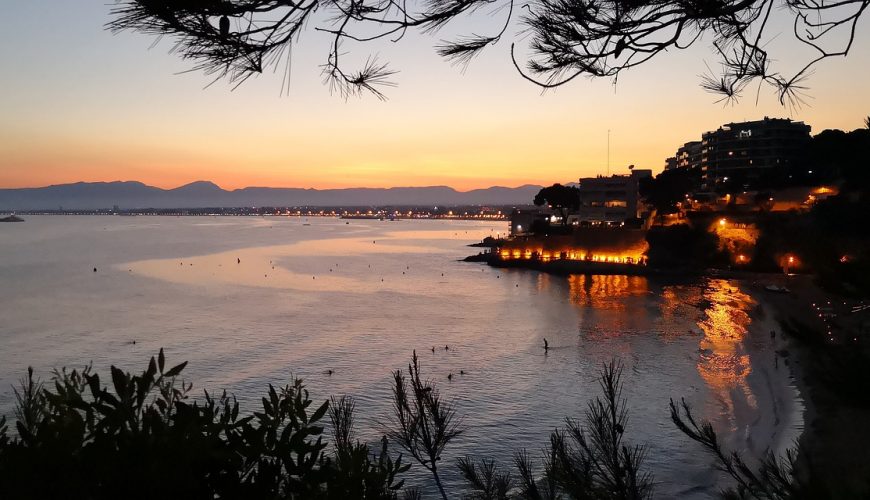 Help save our world?