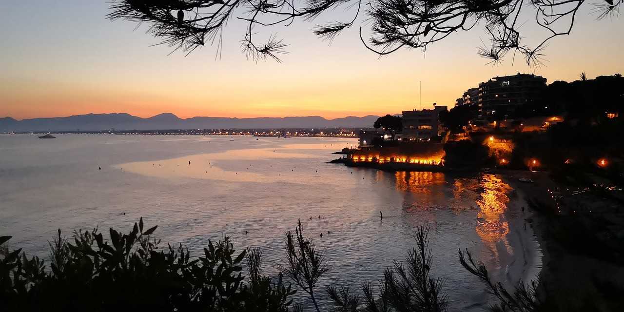 Help save our world?