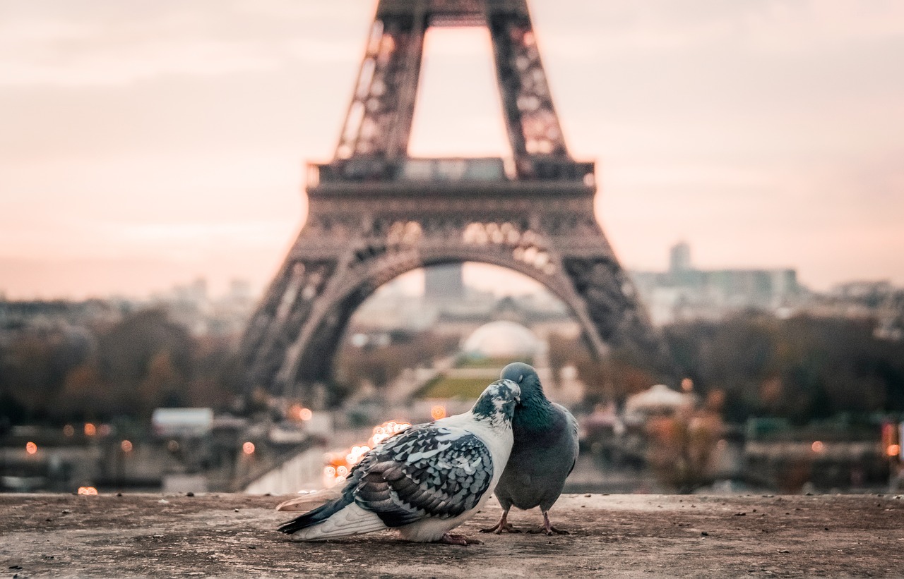 Help save our world?